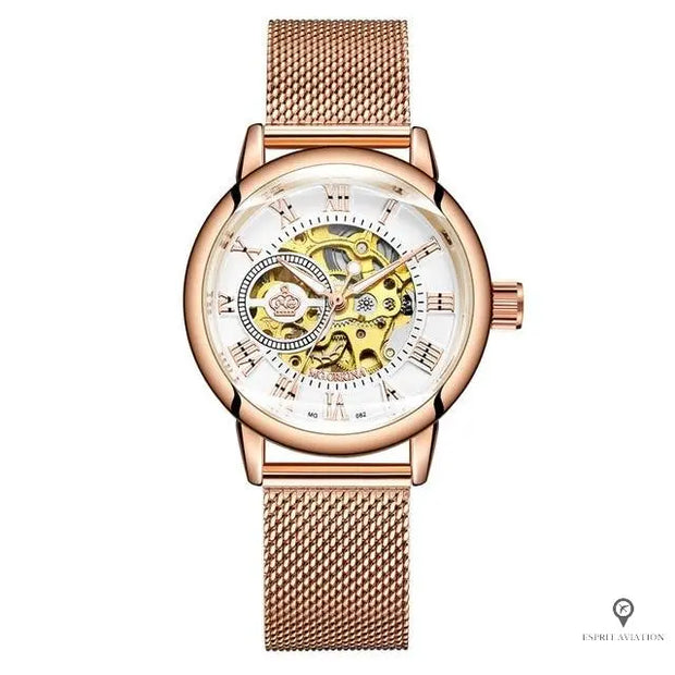 Montre hotsell aviator prix